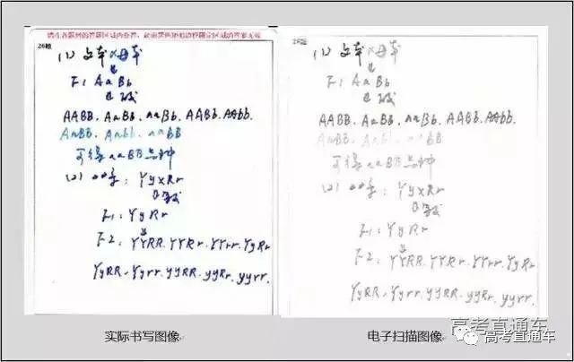 高考阅卷现场+电脑阅卷流程提前曝光，今年不公布真题和答案？