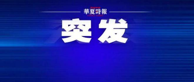 突发！这家上市公司被证监会立案