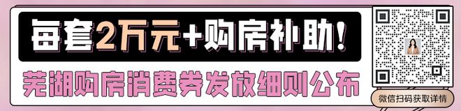 重磅！芜湖购房消费券发放细则公布 每套2万元+购房补助