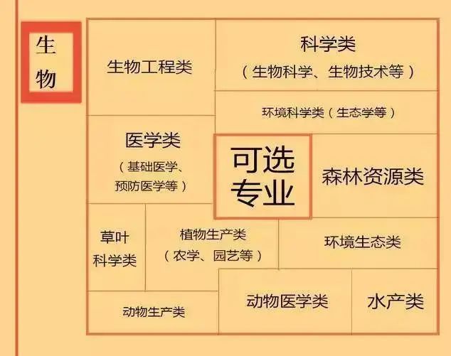 根据学科特长选专业：高中各门课程对应的大学专业盘点