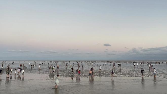 海滩女童走失：“野海滩”的另一面