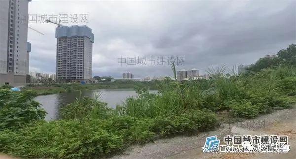 化州市“三旧”改造项目用地被分割成13块 停摆已十年