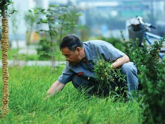 大隐于市的他，霸气的河北民企之王