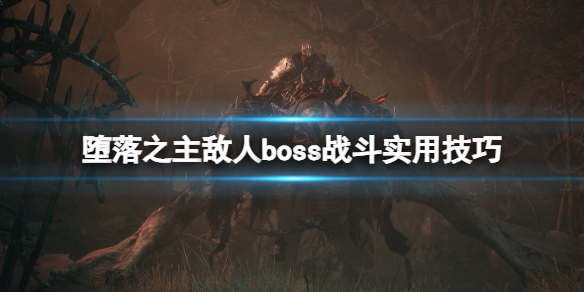 堕落之主敌人boss战斗实用技巧-新手有什么技巧