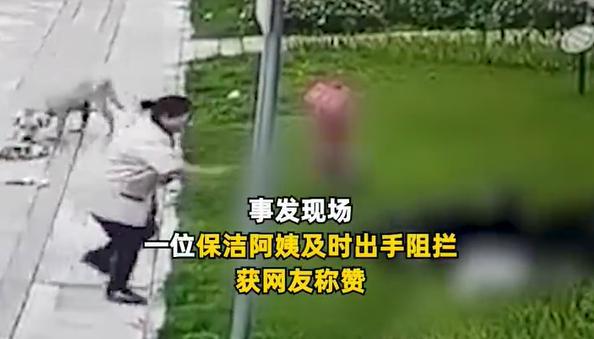 保洁阿姨为女童挡狗被赞“善良又勇敢”，物业回应：会有奖励