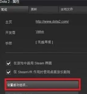 dota2国服启动项如何设置-dota2国服启动项设置方法介绍