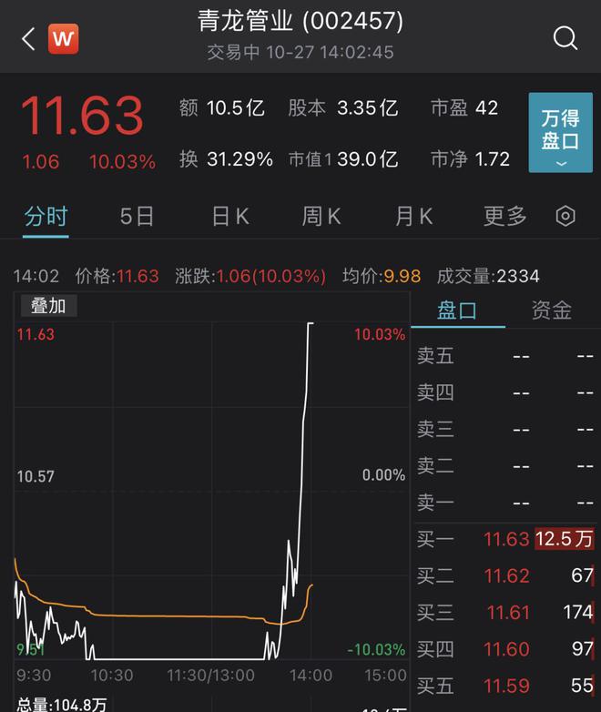 青龙管业盘中上演地天板