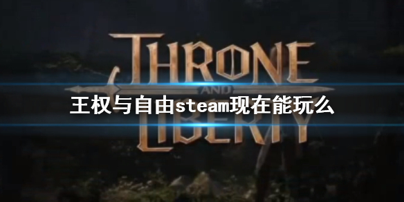 王权与自由steam现在能玩么-王权与自由steam登录方法介绍