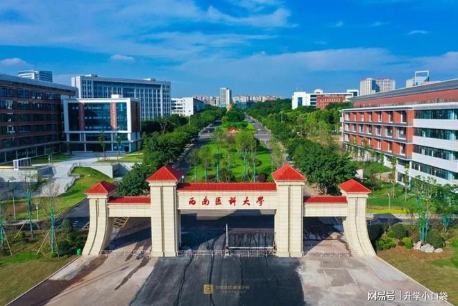 西南医科大学2024保研数据，保送研究生191人，保送比例超过5%