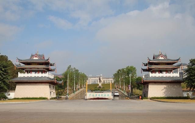 走过场吗？广西中医药大学双选会简历当面被扔，学生雨中翻垃圾桶