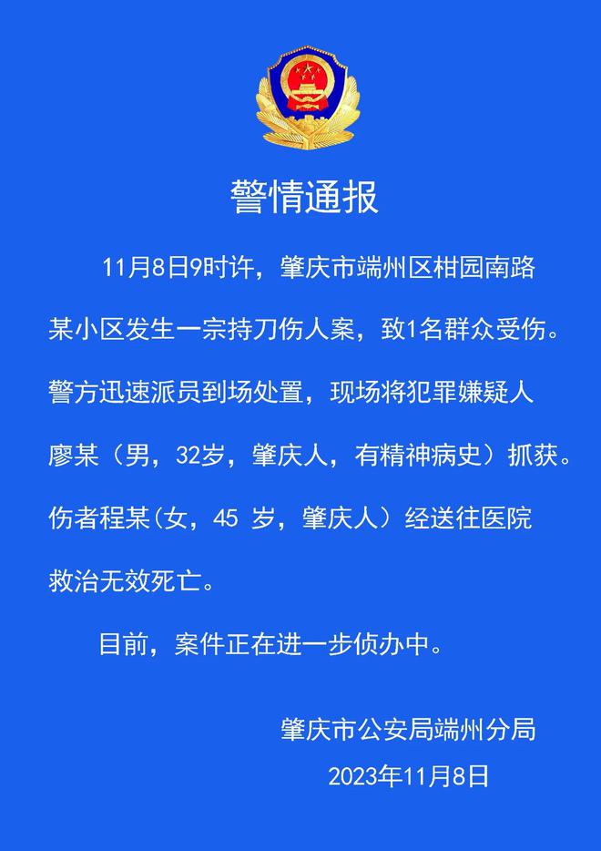 广东一男子持刀伤人致一女子死亡被抓：有精神病史