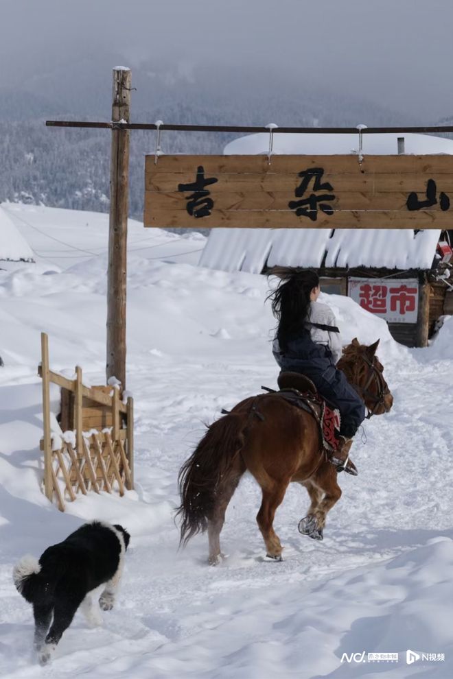 能直接“滑到雪场”的民宿火了！部分雪场民宿已接到春节订单