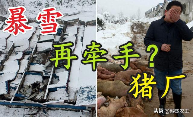 魔兽世界再次反转，暴雪商标遭遇冻结，代理花落谁家？