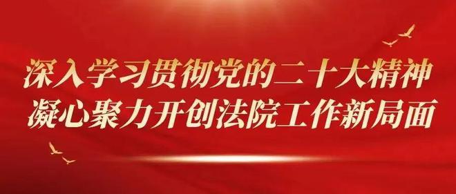 凭祥法院挂拍的一处“抢手”不动产以702万元成交|法院动态