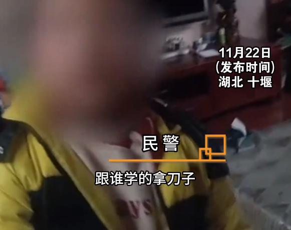 湖北一小学生不想写作业，竟然持刀威胁妈妈？民警上门教育