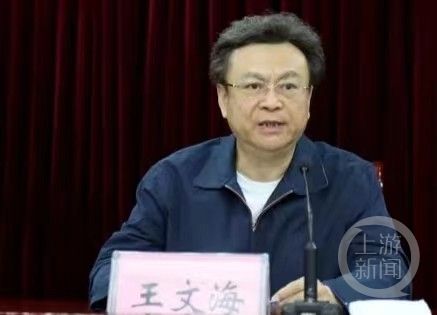 王文海疯狂“查办”部督文物案专案组原因曝光：怕涉案人员供出其交通肇事顶包案