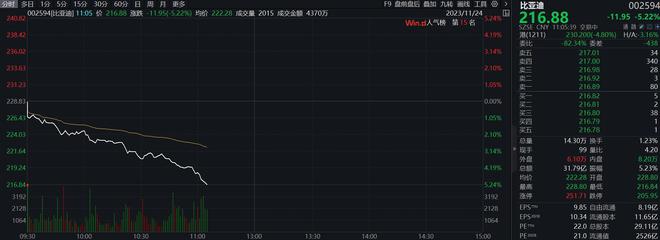 比亚迪放量大跌，比亚迪A股跌超5%，H股跌超4%