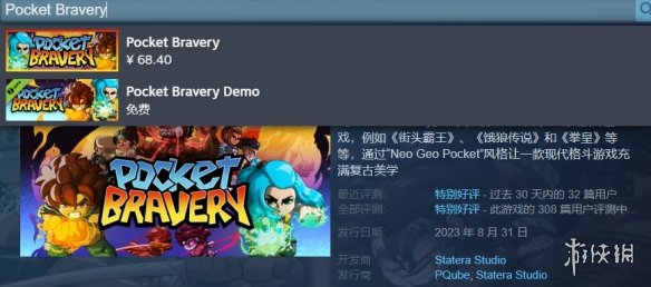 口袋勇气steam叫什么-口袋勇气steam名字