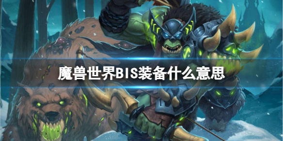 魔兽世界BIS装备什么意思-魔兽世界BIS装备意思介绍