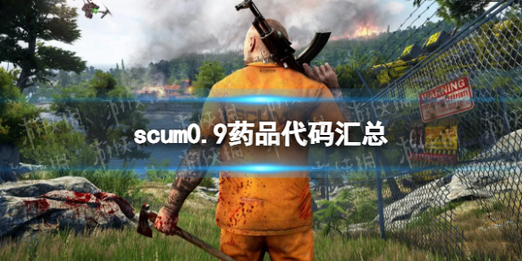 scum0.9药品代码汇总-scum0.9全药品代码分享