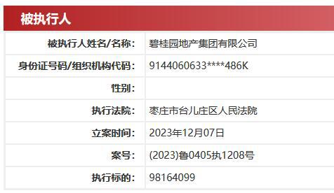 碧桂园地产集团被执行超9816万