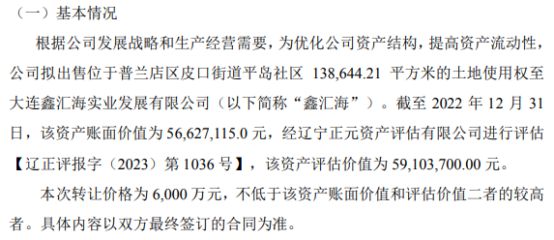 鑫玉龙拟出售普兰店区皮口街道平岛社区13.86万平方米的土地使用权至鑫汇海 转让价格为6000万