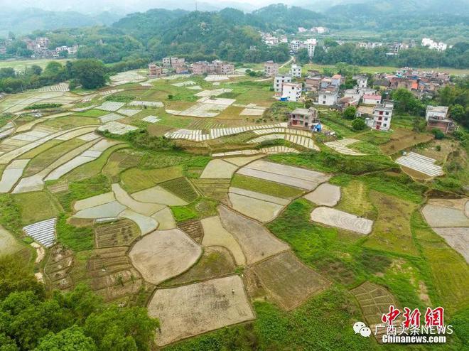 即将实施！广西宅基地城郊每户不得超过100平方米